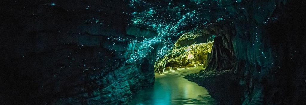 テ・アナウのツチボタル洞窟