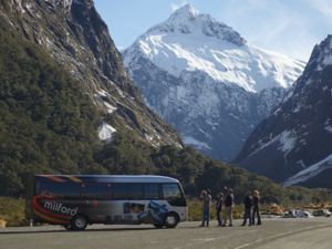 Auf einer Bustour gibt es reichlich Gelegenheit, zu entspannen und die wunderschöne Landschaft Fiordlands zu genießen.