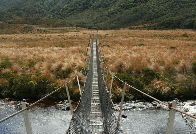 카후랑이는 마오리어로 '보물재산'이라는 뜻. 청정 국립공원에는 뉴질랜드에서 가장 오래된 암석과 가장 진귀한 식물과 조류 등 여러가지 보물이 있다.