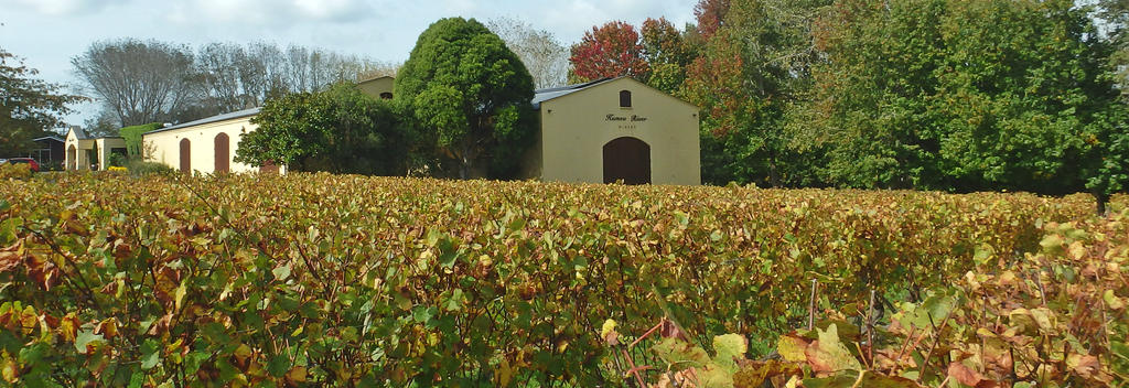 Kumeū is Auckland's oldest wine region. Chardonnay and Merlot are highlights, though the range is broad.