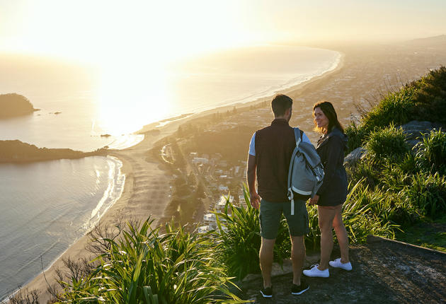 丰盛湾是新西兰北岛最受欢迎的热门观光地之一。丰盛湾地区拥有众多壮美的海滩，美味多汁的奇异果和新西兰唯一的活火山，难怪是游客和本地人都喜爱的度假胜地。