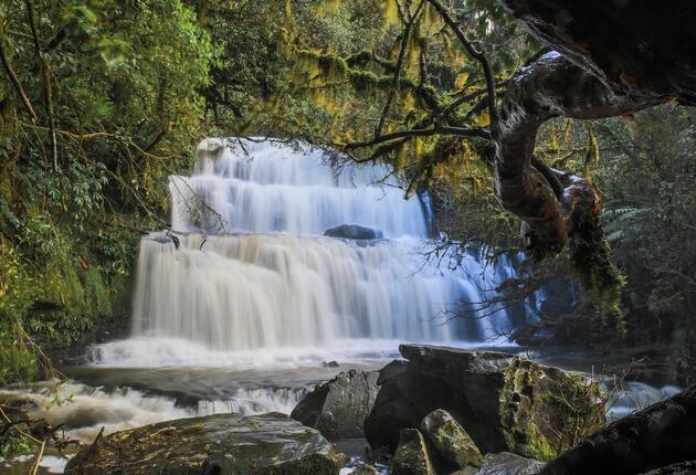Wandere zu den Pūrākaunui Falls,  Jack's Blow Hole und auf dem Catlins River Track. Dich erwarte tolle Stunden inmitten der wilden Schönheit der Catlins.