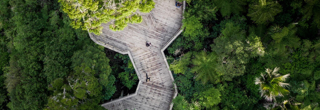 Aerial view of people on wooden platform surrounded by native bush at Arataki Visitor Centre in Auckland