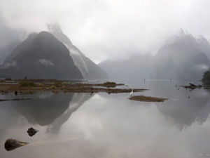 The tranquil beauty of Milford Sound shrouded in mist.