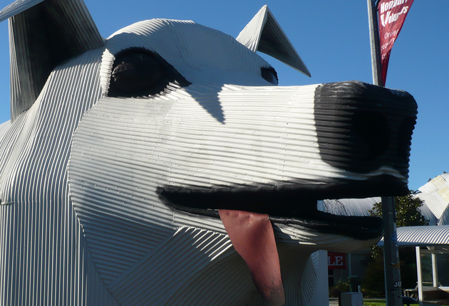 You can’t miss Tirau – just look for the large corrugated iron buildings constructed to look like a sheep and a dog. This town is a little quirky!