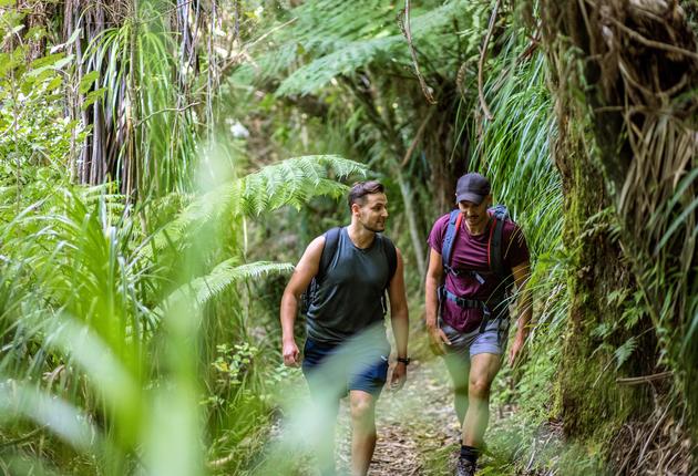 Wandern ist in Neuseeland der beste Weg, um in die einzigartige Schönheit der Natur einzutauchen. Erfahre mehr über Neuseelands großartige Wanderwege und die Vielfalt seiner Trails.