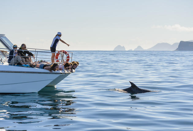 ボートで行くクルーズはのんびりと観光したい方にぴったりです。海や湖の豊かな水に囲まれたニュージーランドでは見逃せないアクティビティと言えます。