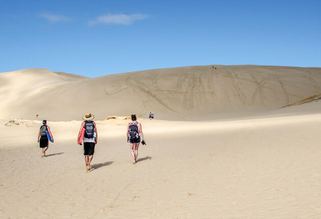 在新西兰度假期间，背包客的十佳探险和活动的信息。