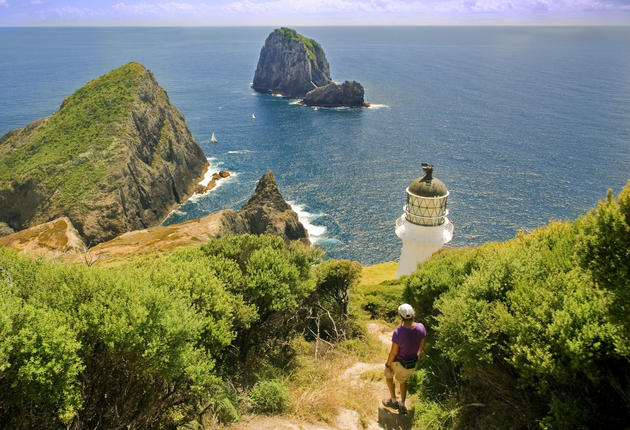 アウトドアにぴったりの環境に恵まれたニュージーランド。数時間か1日を屋外で過ごしてみませんか。北島で楽しめる短めの散策コースをいくつか提案します。