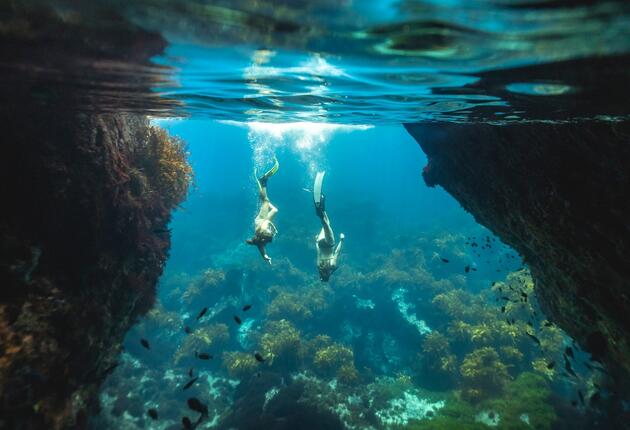 你可以在蓝绿色水域潜水，品尝葡萄酒或到原野间放松身心。了解新西兰最佳岛屿的更多信息。