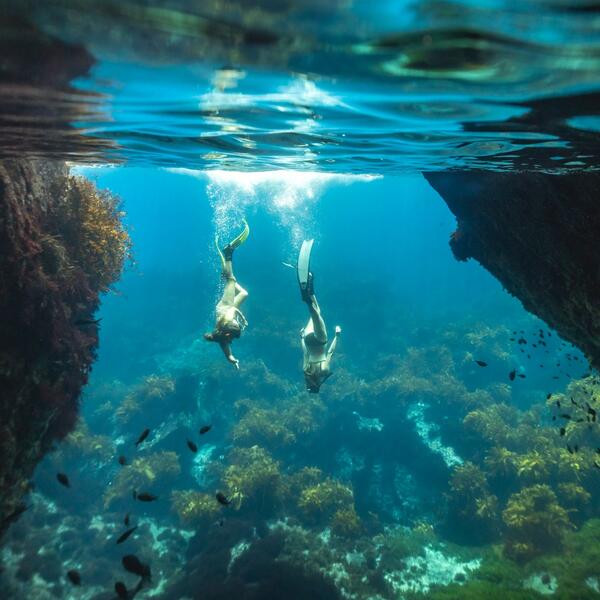 Diving on Poor Knights Islands, one of the top diving locations in the world.