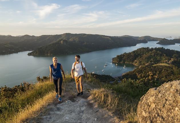 海岸沿いの散歩道、原生林の中の自然遊歩道、古代の氷河につながる道など、体力レベルの異なる幅広い層の人に親しまれている短い散策コースはニュージーランドの各地にたくさんあります。