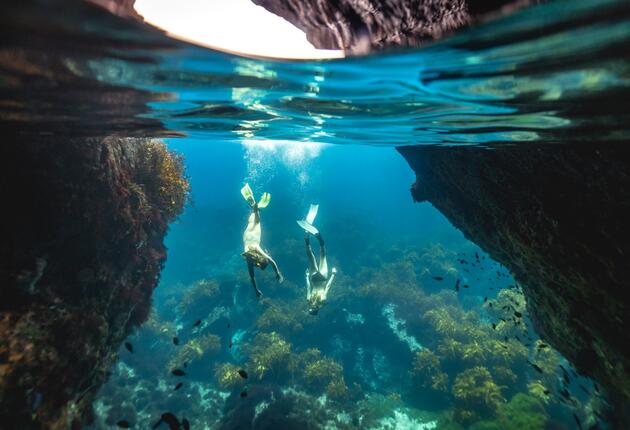 ノースランド地方のプアー・ナイツ諸島は世界でも有数のダイビングスポットです。