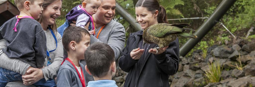 Catch one, or all, of our daily animal encounters, where zookeepers share their extensive knowledge of our amazing animals.