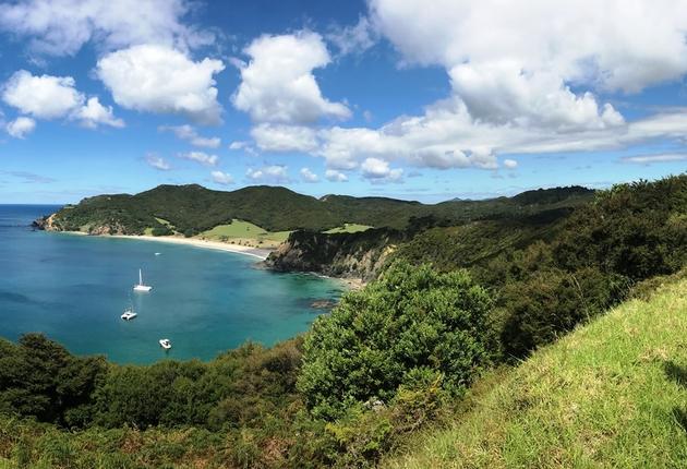 청록색의 물 속에서 스쿠버 다이빙을 하고, 와인을 마시고, 대자연 속에서 휴식을 취해 보자. 뉴질랜드 최고의 섬에 대해 자세히 알아보자. 