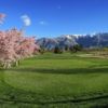 Arrowtown Golf Tee Blossom
