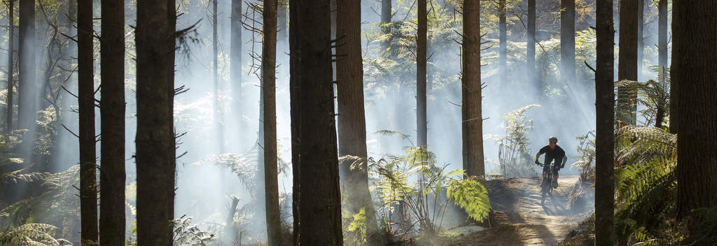 Whakarewarewa Forest, atau 'The Redwoods', adalah surga untuk bersepeda gunung.