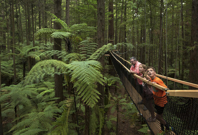 There’s fun for the whole family no matter where you are in the North Island.