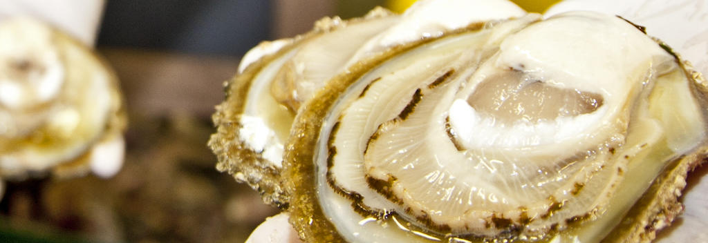 ブラフ・オイスターは世界でもトップクラスの牡蠣と言われています。