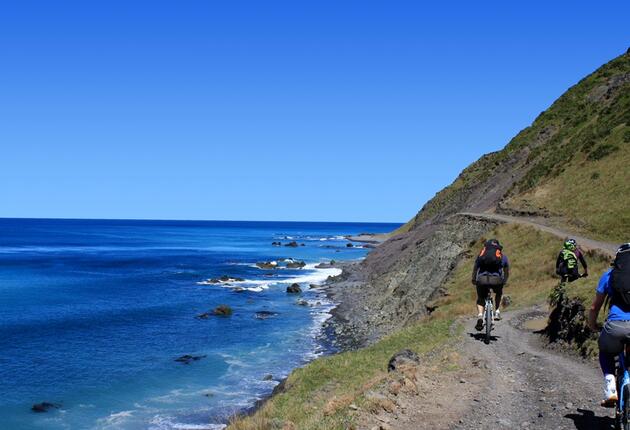 你会发现怀拉拉帕（Wairarapa）可提供丰富的骑行体验——有的经过葡萄园，有的穿越崎岖海滩——路线丰富多样。