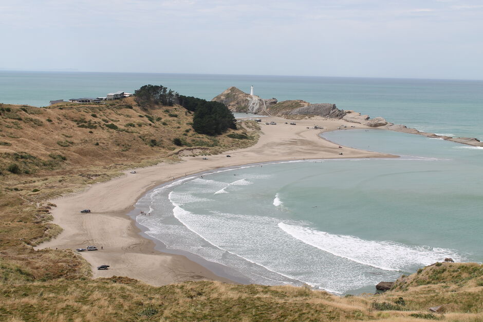The Deliverance Cove Track  walk at Castlepoint