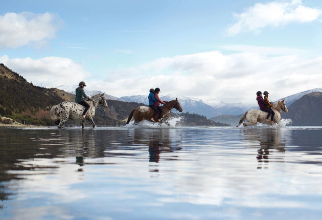ニュージーランドではビーチや森林、高原といった大自然の中で乗馬が楽しめます。