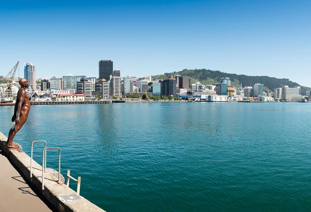 The Wellington region is the gateway to the South Island. It's also where you'll find the nation's capital - a place brimming with art, culture and fun.