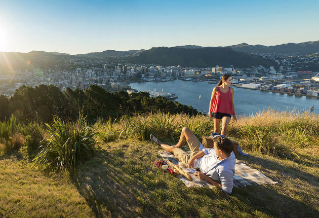 Rund um Wellington führen endlose, pittoreske Spazierpfade und Wanderwege durch das Inland und an der Küste entlang.