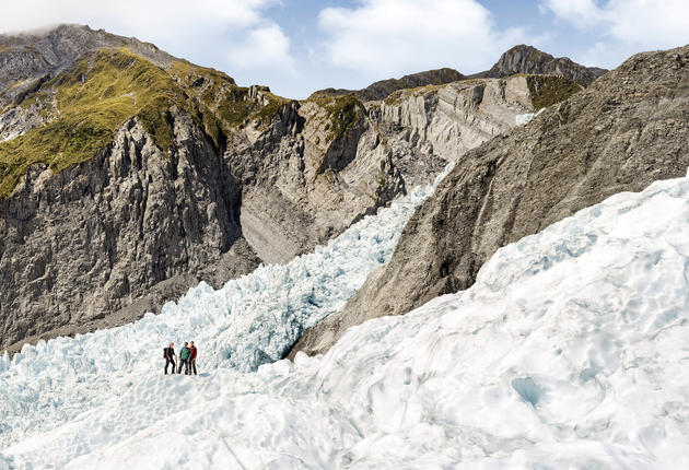 웨스트랜드/타이포우티니 국립공원에는 60여 개의 빙하가 있는데, 그 중 폭스 빙하와 프란츠 조셉 빙하는 전세계에서 유일하게 온대우림 지대까지 흘러내린다.