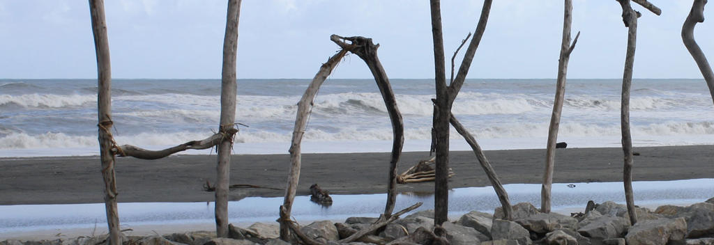 ホキティカのビーチは南島西海岸でよく見られる自然のままの荒々しいビーチです。