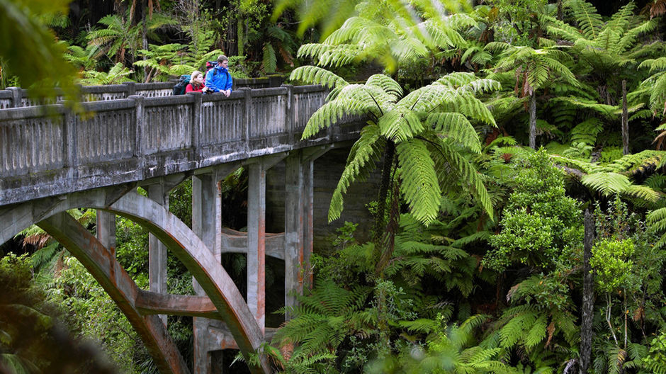 旺格努伊国家公园（Whanganui National Park）的绝路桥