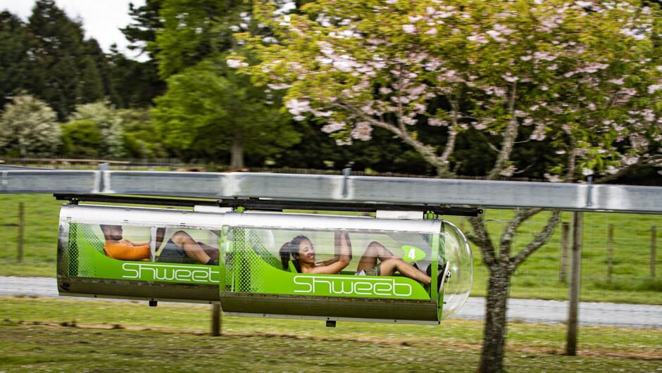 Embrace the race on the Shweeb Racer Monorail Racetrack, Rotorua.